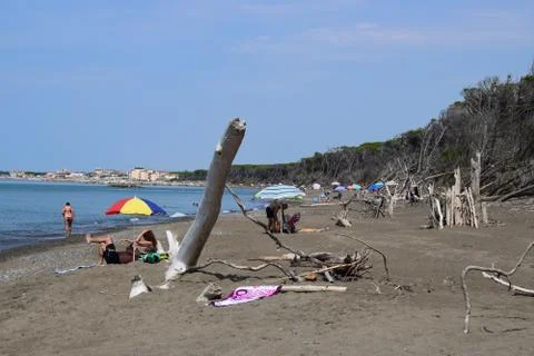 Beach and sea of Marina di Cecina, Maremma, Tuscany, Italy, Europe Stock Photos