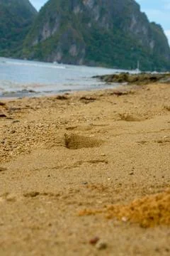 Beach and Sea Stock Photos