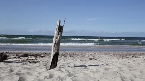 Beach and sea view Stock Footage 201009841