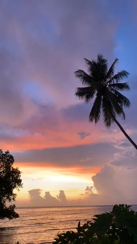 Beach and sunrise Stock Footage 242209120