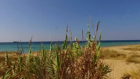 Beach and Sunshine Stock Footage 145140748