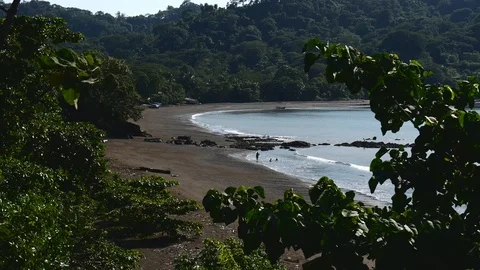 Beach and trees medium Stock Footage 126658502