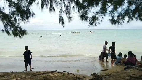 Beach and the visitor Stock Footage 152120273
