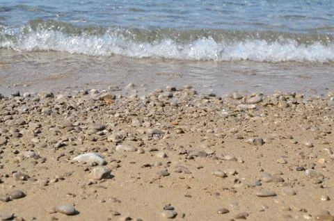 Beach and a wave Stock Photos