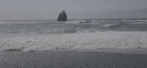 Beach and waves Stock Footage 319595706