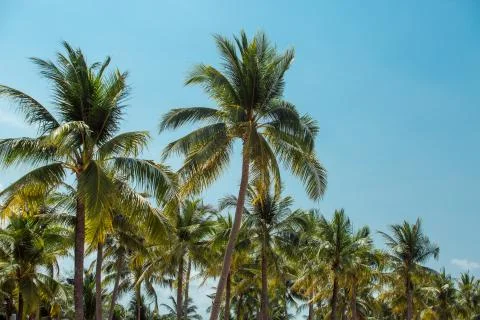 Beach area by the sea Stock Photos