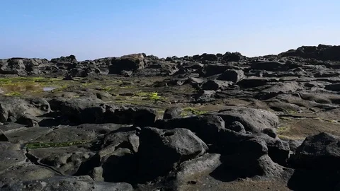 Beach around  the Canary Islands 스톡 동영상 101391889