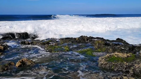 Beach around  the Canary Islands 스톡 동영상 101391996