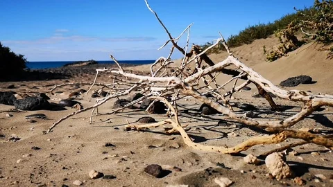 Beach around  the Canary Islands 스톡 동영상 101392372