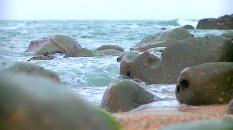 Beach of atlantic coast. Portugal. Stock Footage 63394718