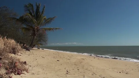 Beach in Australia Stock Footage 75706427