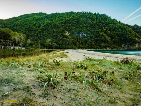 The  beach in autumn Stock Photos
