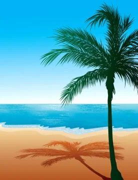 Beach Background  Stock Illustration