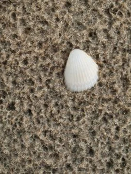 Beach background Foto stock