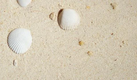 Beach Background Foto stock