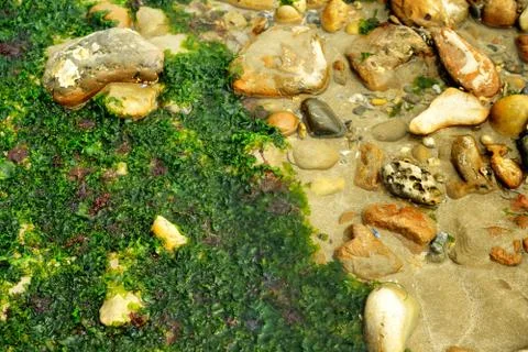 Beach background. Stock Photos