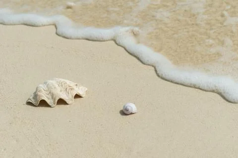 Beach background scenery Stock Photos