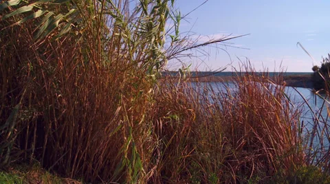 Beach background scenic Vidéo 32354298