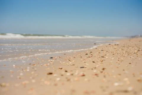 Beach background selective focus, sand, seashells and blue summer sky Stock Photos