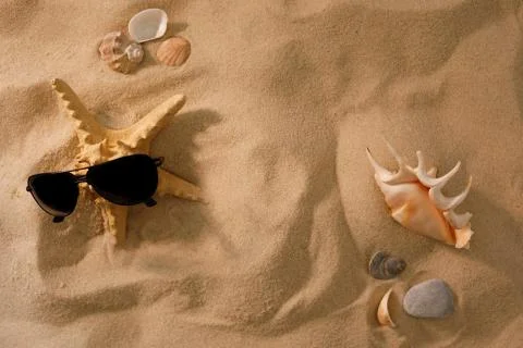 Beach background with shells and starfish. Sunglasses in the sand. The concep Stock Photos