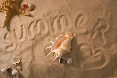 Beach background with shells and starfish. Vacation concept. Top view. Flat l Stock Photos