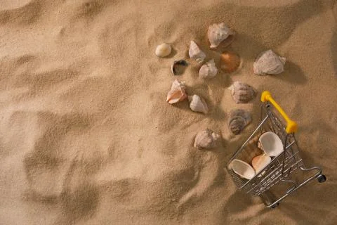 Beach background with shells . The concept of rest. Hurry up to buy a ticket. Foto stock