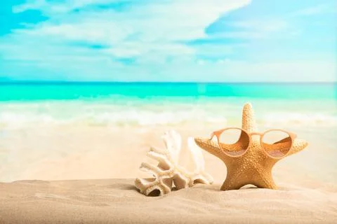 Beach background, sun glasses, shell and starfish. Stock Photos