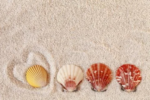 Beach Background Top Stock Photos