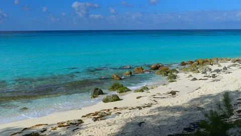 Beach in Bahama Bimini 4K Stock Footage 117072968