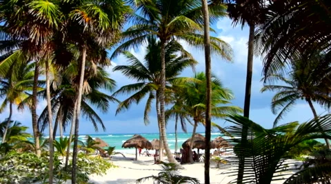 Beach in Bahamas Stock Footage 45878784