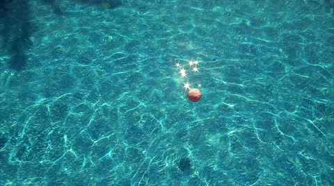 Beach ball floating in pool Stock Footage 68324590