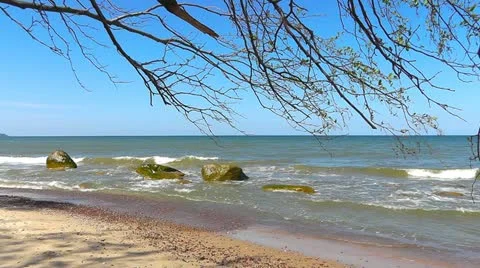 Beach of Baltic sea Stock Footage 11139127