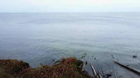 Beach at the Baltic Sea Video stock 263136405