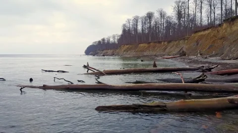 Beach at the Baltic Sea Video stock 263136846