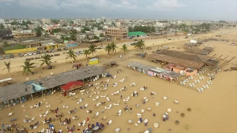 Beach bar terrace in Cotonou Stock Footage 81093178