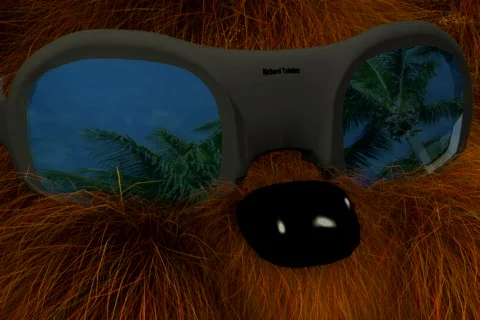 Beach Bear Stock Footage 334826