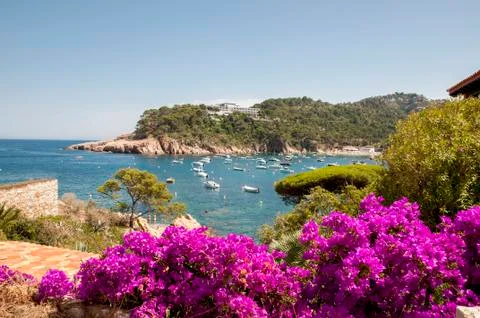 Beach of  begur Stock Photos
