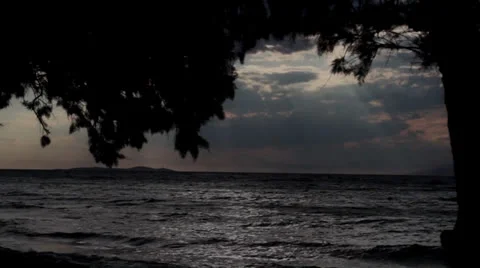 Beach behind the tree Video stock 25211518
