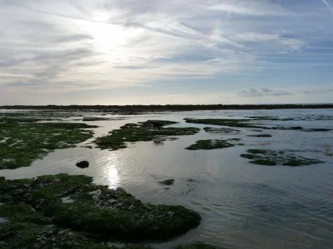 The beach below beachy head Stock Photos
