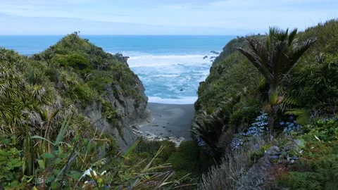Beach between cliffs, New Zealand Stock Footage 263864254
