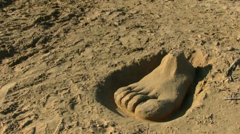 Beach - Big Foot 스톡 동영상 31003507