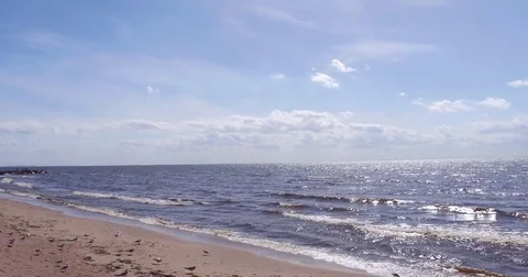 Beach bird gull takeoff 動画素材 71389425