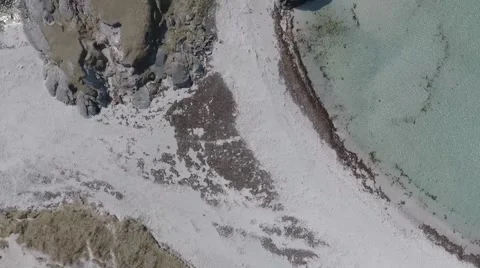 Beach with Bird POV Stock Footage 66528488