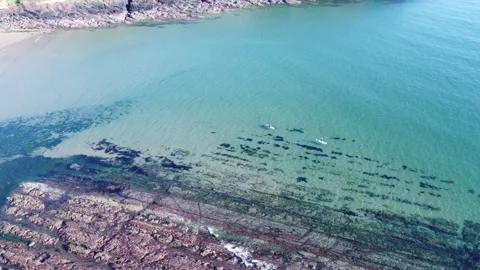 Beach Birds Eye view 스톡 동영상 245758798