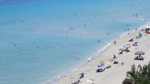 Beach with birds Stock Footage 880737