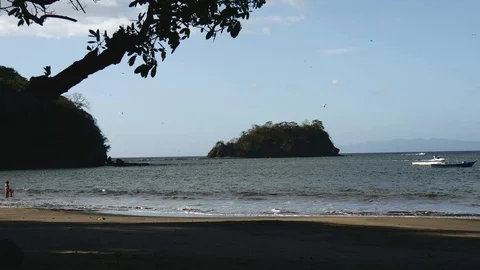 Beach with birds Stock Footage 126878687