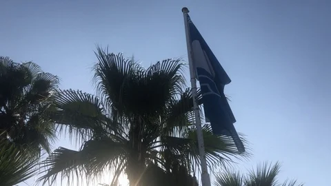 Beach Blue Flag Under Palm Trees And Blue Sky Stock Footage 119279041