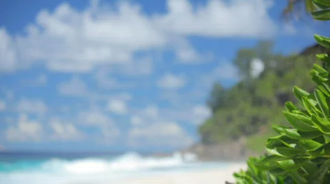 Beach blurred and focused Stock Footage 461359