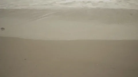 Beach - Bolinas 스톡 동영상 96420187