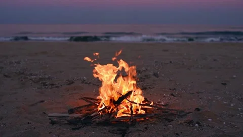 Beach Bonfire with Beautiful Sunset or sunrise Video stock 220020546